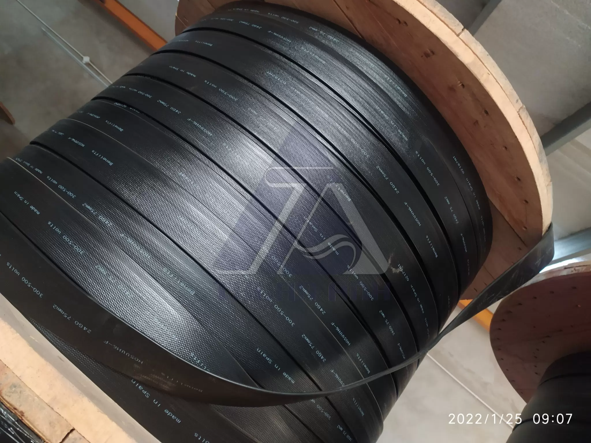 Cáp điện 12 ruột Ý