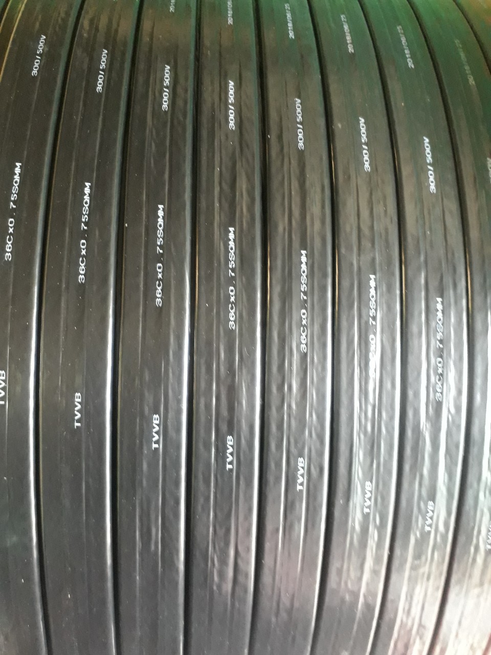 Wire ropes 12
