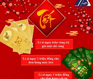 Lunar New year's promotions